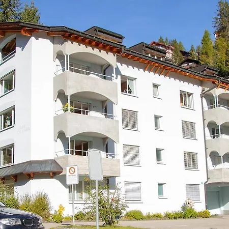 Camana Eg * Ароза